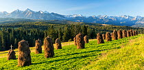 Haystacks in front of the Tatra Mountains, Poland, September 2014.