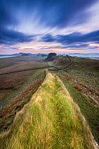 Landscape of Hadrian&#39;s Wall, Northumberland, England, UK, December 2013