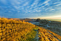 Hadrian&#39;s Wall, Northumberland, England, UK. December 2012