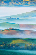 Dawn with fog over farmland, Pienza, Tuscany, May 2014.