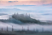 Belvedere at dawn, Val d&#39;Orcia, Tuscany, Italy, May 2018.