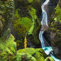 Waterfall in Fjaorargljufur canyon, Kirkjubaejarklaustur, Iceland, August 2017.