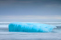 Iceberg in surf, Jokulsarlon, Iceland. January 2014