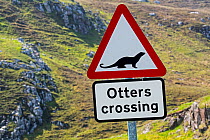 Eurasian otter / European otter (Lutra lutra) road warning sign for otters crossing street in coastal Scotland, UK