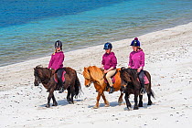 Three young girls / teenagers riding Shetland ponies on sandy beach along the Scottish coast on the Shetland Islands, Scotland, UK, June 2018.