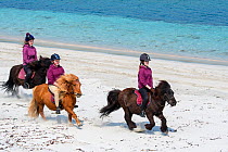 Three young girls / teenagers riding Shetland ponies on sandy beach along the Scottish coast on the Shetland Islands, Scotland, UK, June 2018.