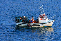 Fisherman in small fishing boat dropping / shooting lobster traps in the Atlantic Ocean, Shetland Islands, Scotland, UK, May