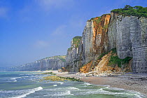 Shingle beach and chalk cliffs along the North Sea coast at Yport, Normandy, France, June 2018