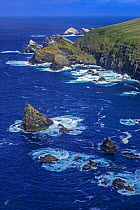 Spectacular coastline with sea cliffs and stacks, home to breeding seabirds at Hermaness, Unst, Shetland Islands, Scotland, UK, May