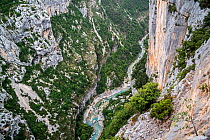 View into the Gorges du Verdon / Verdon Gorge canyon from belvedere along the Route des Cretes, Provence-Alpes-Cote d&#39;Azur, France, September 2018