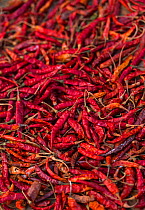 Chilli peppers at market, Chitwan National Park, Inner Terai lowlands, Nepal.