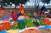 Local vegetable market, Chitwan National Park, Inner Terai lowlands, Nepal. February 2018.