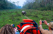 Tourists on safari taking pictures of One-horned Asian rhinoceros (Rhinoceros unicornis), Chitwan National Park, Nepal, February 2018.