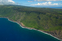 Aerial view of cliffs of north Moloka&#39;i, Molokai Island, Hawaii.