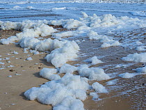 Sea foam on beach, England, UK. March