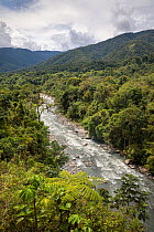 River running through cloud forest, Manu Biosphere Reserve, Amazonia, Peru.