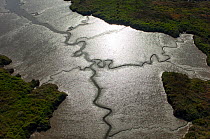 Aerial view of low tide in Sado estuary, Portugal. November