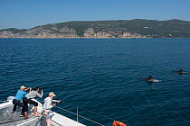 Tourists watching Bottlenose dolphin (Tursiops truncatus) from boat, Sado Estuary, Portugal. May