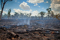 Bush fire triggered by lightning storm, Western Australia. December 2013.