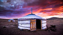 Traditional yurts at sunrise, Altanbulag, Steppe grassland, Mongolia, June 2017.