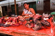 Various parts of South American yellow-footed tortoises (Chelonoidis denticulata), Vulnerable species, and terrapin species from the Amazon basin are sold for food in the Belen market, Iquitos, Peru....