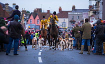 Hunt master and his hounds lead out England&#39;s oldest fox hunt - the Berkeley Hunt - from the town of Thornbury, Gloucestershire, England, UK. 26th December 2014. Winner of the Portfolio Category o...