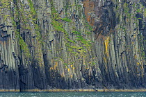 Sea cliffs on the Shiant Isles, showing basalt columns. The Minch, Outer Hebrides, Scotland. July 2016.