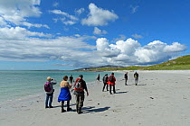 Walkers on coral sand beach on the isle of Eriskay in the Western Isles, Scotland. July 2017.
