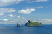 The isles of Boreray, Stac Lee and Stac an Armin in the Saint Kilda archipelago, UNESCO World Heritage Site, Scotland. June 2011.