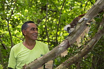 Researcher from Proyecto Titi observing feeding Cotton-top tamarin (Saguinus oedipus). Northern Colombia. 2016.