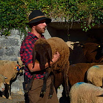 Shepherd holding sheep at Sheepfair, Canton de Fribourg, Switzerland, September 2018.