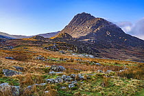 Tryfan Mountain, view south west from near A5 to Capel Curig, Conwy. Snowdonia National Park, Wales, UK. January 2018.