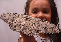 Girl with a large White Witch moth (Thysania agrippina) on her hand. Iquitos, Peru. Model released.