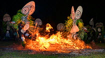 Traditional Baining Fire Dance. Performed by men from the Baining tribe who enter a trance like state and dance around and through the fire in masks thought to resemble insects to contact the spirit w...
