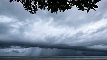 Timelapse of rain clouds over the Pacific Ocean, Daintree, Wet Tropics World Heritage Area, North Queensland, Australia. 2017.