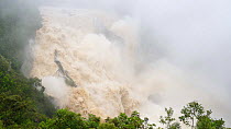 Wide angle shot of Barron Falls after a cyclone, showing increased flow of water, Wet Tropics World Heritage Area, Cape Tribulation, North Queensland, Australia. 2017.