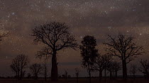 Timelapse from day to night of Boab trees (Adansonia gregorii), Kimberley, Western Australia, 2016.