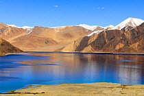 Pangong Tso, mountain lake at 4250 meters altitude. Chantang Wildlife Sanctuary. Tibet plateau. Ladakh, India, September 2018.