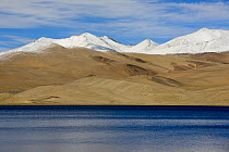 Tso Moriri Lake (4540 meters oaltitude) Chantang Wildlife Sanctuary, Ladakh, ,India, September 2018.