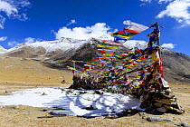 Buddhist prayer flags in Polo Kongka La at 4970 meters altitude, Chantang Wildlife Sanctuar, Ladakh, India, September 2018.