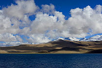 Tso Moriri Lake at 4540 meters altitude, Chantang Wildlife Sanctuary. Ladakh, India, September 2018.