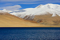Tso Moriri Lake at 4540 meters altitude, Chantang Wildlife Sanctuary. Ladakh, India, September 2018.