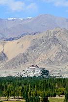 Thikshey Tibetan Buddhist monastery, at 3260 meters of altitude, Indus River. Ladakh, India,