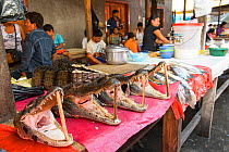 Caiman heads for sale at Belen markets, Iquitos, Peru July 2014