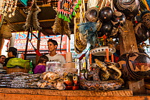 Animal body parts including snakes and pirhanas for sale at Belen market in Iquitos, Peru. July 2014
