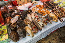 Animal body parts including monkey and snake heads, for sale at Belen market in Iquitos, Peru. . July 2014