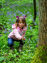 Girl looking at Bluebell (Hyacinthoides non-scripta) in woodland, Hertfordshire, England, UK, May. Model released.