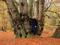 Beech Tree (Fagus sylvatica) ancient coppice stool uncut for several generations self portrait to show scale, Essex, England, UK, November