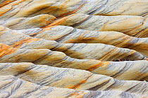 Detail of abstract patterns in rock, Northumberland Coast, England, UK.