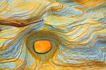 Detail of abstract patterns in rock, Northumberland Coast, England, UK.